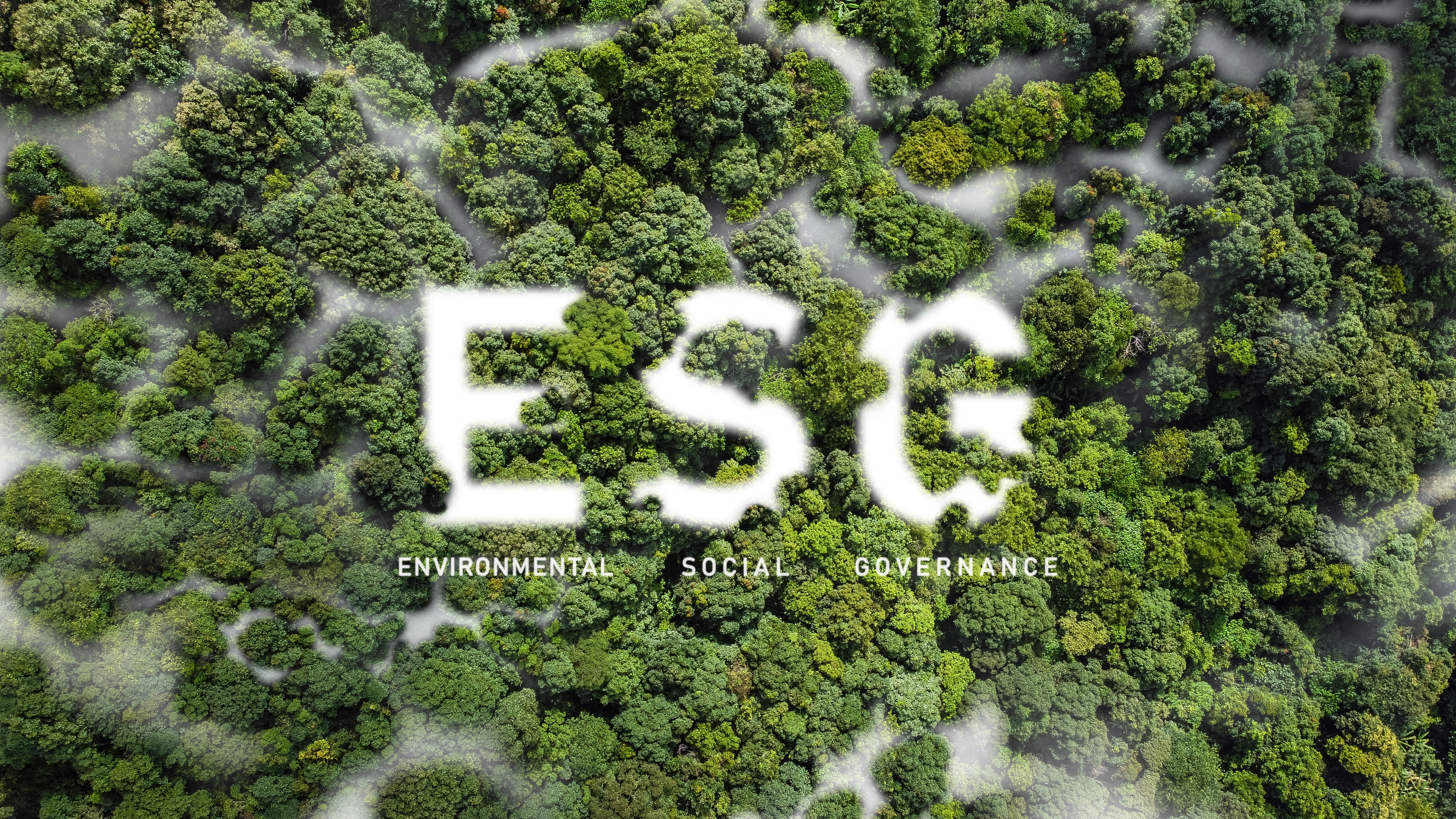 軟通動力ESG連續兩年行業第一 再次上榜Wind中國上市公司ESG最佳實踐100強